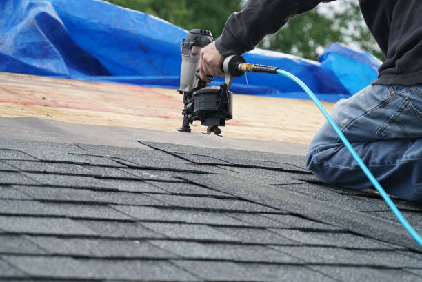 Steel Roofing in Homestead Meadows North, TX